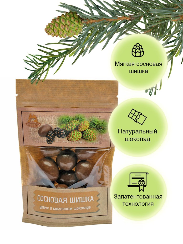 80g TerritorijaTaigi Tannenzapfen in Milchschokolade  // Драже Сосновые шишки в молочном шоколадe