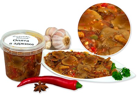 350g Stockschwämchen in Adgika // Опята в аджике